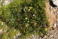 2015-07-04_2Sonnjoch (143).JPG